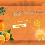 תמונה של WhatsApp‏ 2025-08-06 בשעה 19.54.31_61f3ddc4